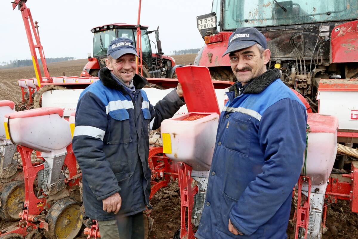 В СП «Газовик-Сипаково» активно ведется сев кукурузы