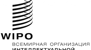 Впервые в Беларуси: летняя школа ВОИС