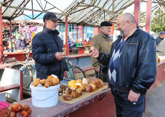 Грибная осень на Шкловщине: что продают и в чем опасность?