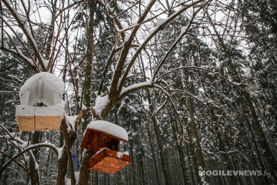 Погода на неделю: около 0°С, гололедица и кратковременные осадки