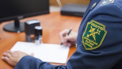 Отдельные вопросы применения таможенной процедуры временного ввоза (допуска)