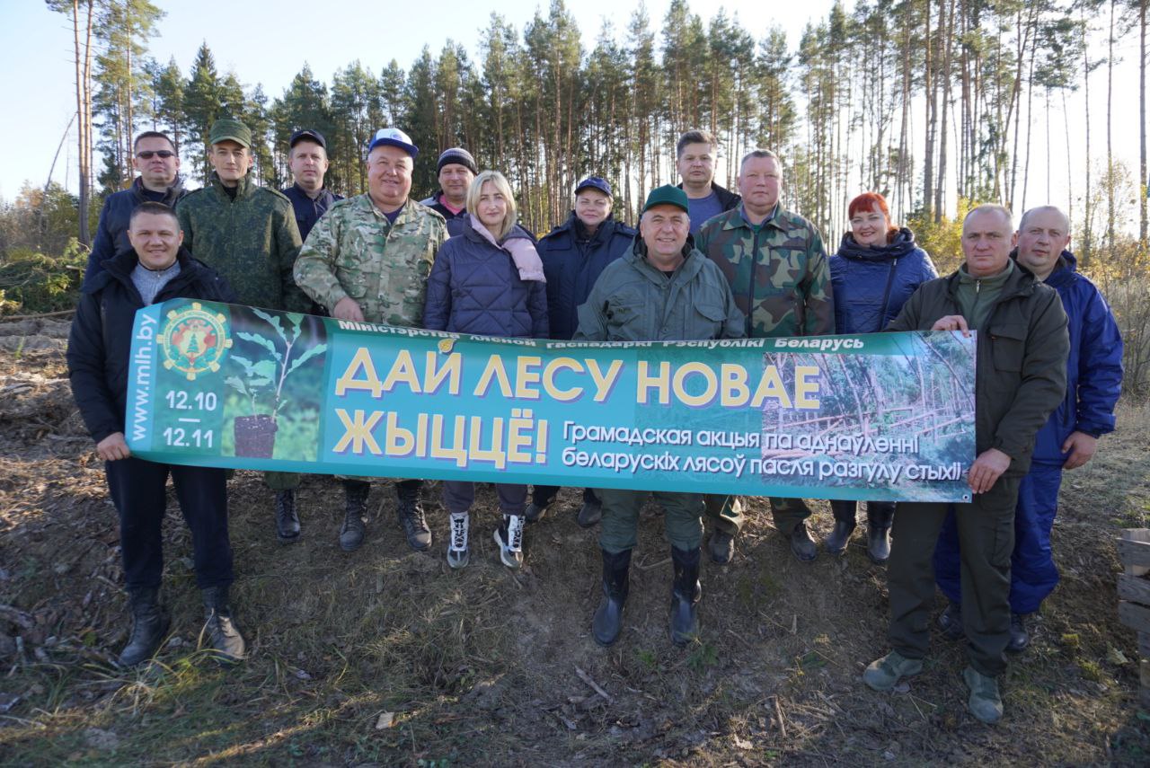 Акция “Дай лесу новае жыццё!” продолжается