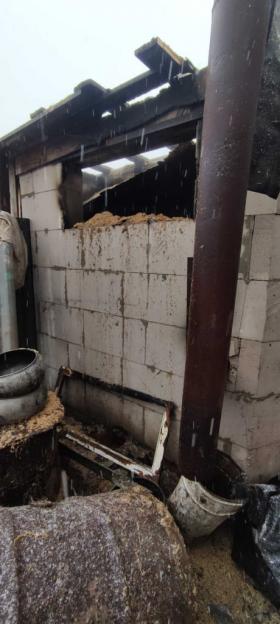 Пожар в Шкловском районе тушили спасатели