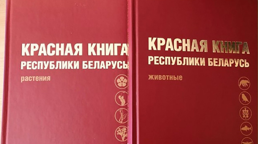 В Красную книгу Беларуси добавлены 13 видов животных и 5 видов растений