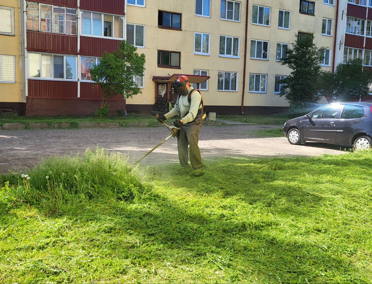 В Шклове продолжается плановый покос травы