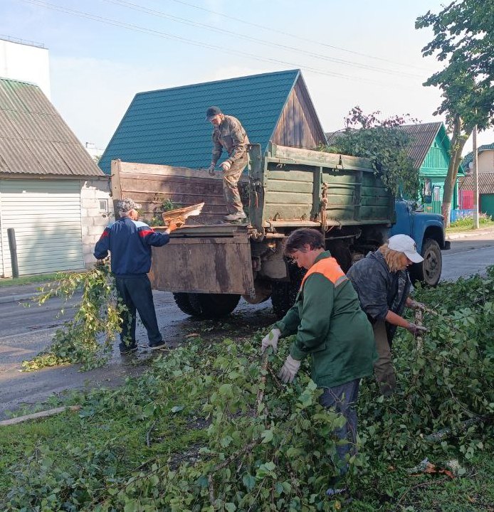 Оперативно отреагировали на последствия непогоды шкловские коммунальники
