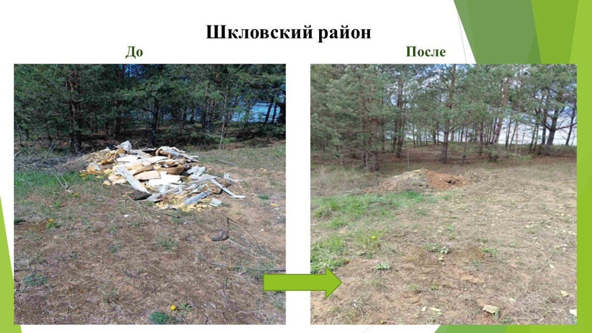 Более 6,3 тысячи нарушений в области охраны окружающей среды и рационального использования природных ресурсов выявлено в Могилевской области в I полугодии