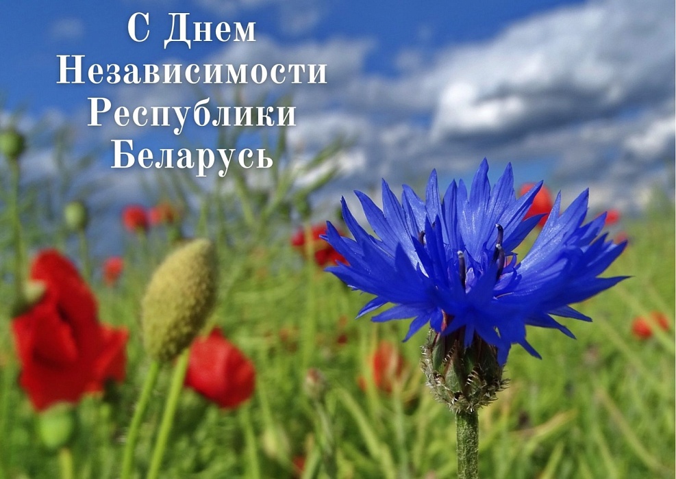 3 июля в Беларуси отмечается День Независимости – главный праздник белорусской государственности.