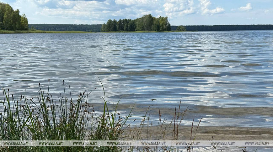 Перечни водоемов для ведения рыболовного хозяйства и рыбоводства обновлены в Беларуси