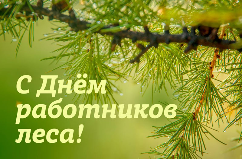 Поздравление руководства Шкловского района с Днем работников леса