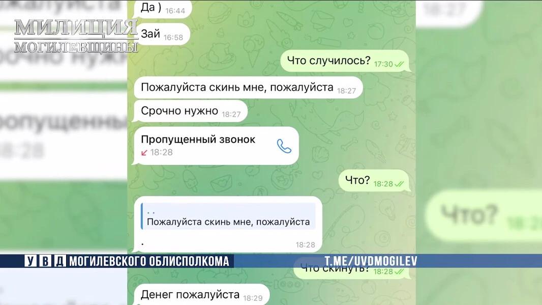 Под видом девушки 18-летний житель Могилева обманывал мужчин в сети