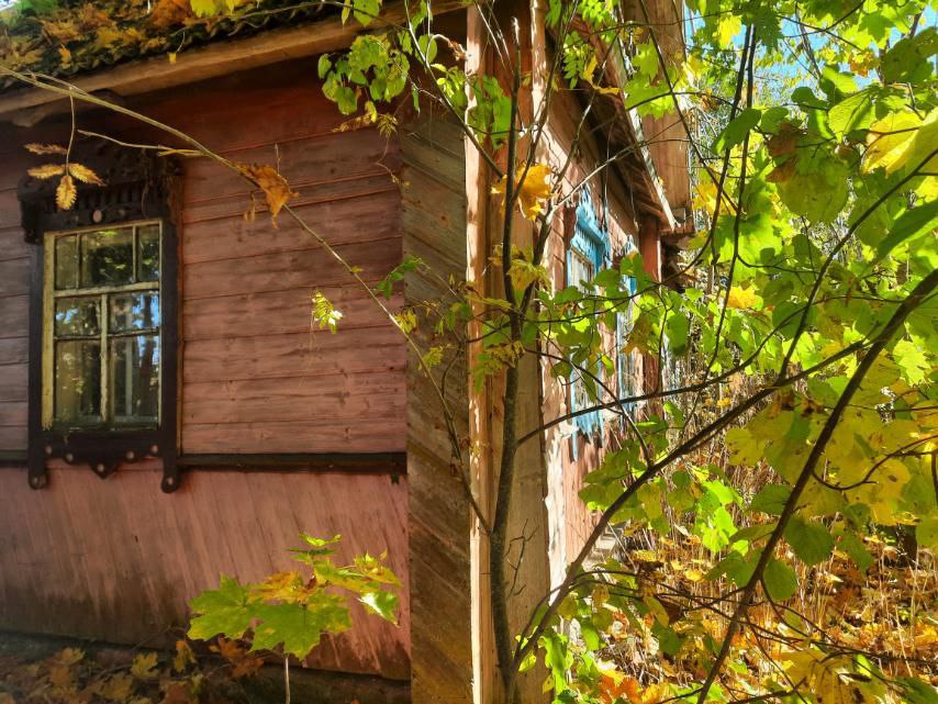 В Шкловском районе продается дом за одну базовую