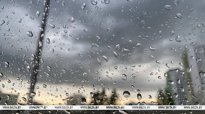 Дождливо и до +12°С будет в Беларуси 14 ноября 