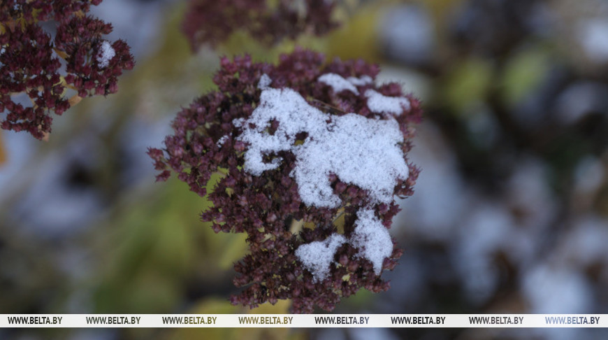 Кратковременные дожди и мокрый снег ожидаются сегодня в Беларуси