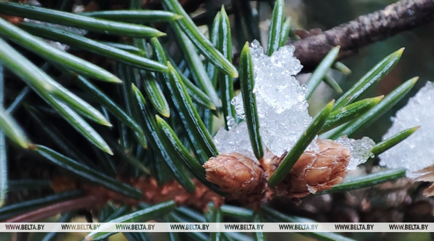 Кратковременные осадки, гололедица. Синоптики рассказали о погоде на 20 ноября