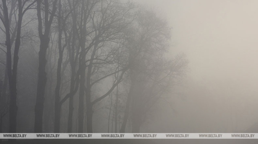 МЧС предупредило о факторах опасности при тумане и сильных осадках