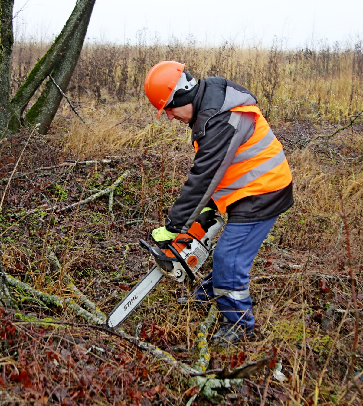 В Шкловском районе состоялась проверочная тренировка аварийно‑восстановительных звеньев