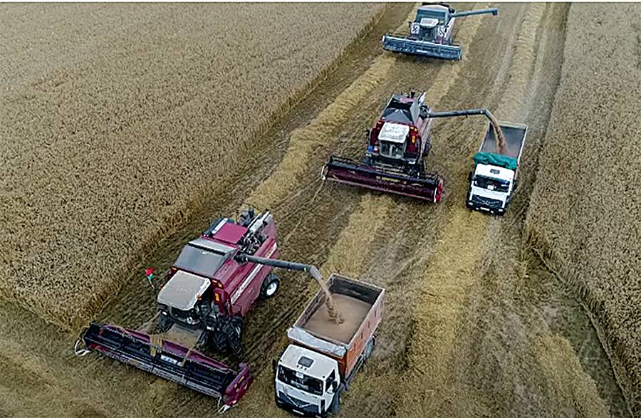 Уверенно держат лидерство: филиал «Газовик-Сипаково» — победитель районного соревнования по уборке зерна