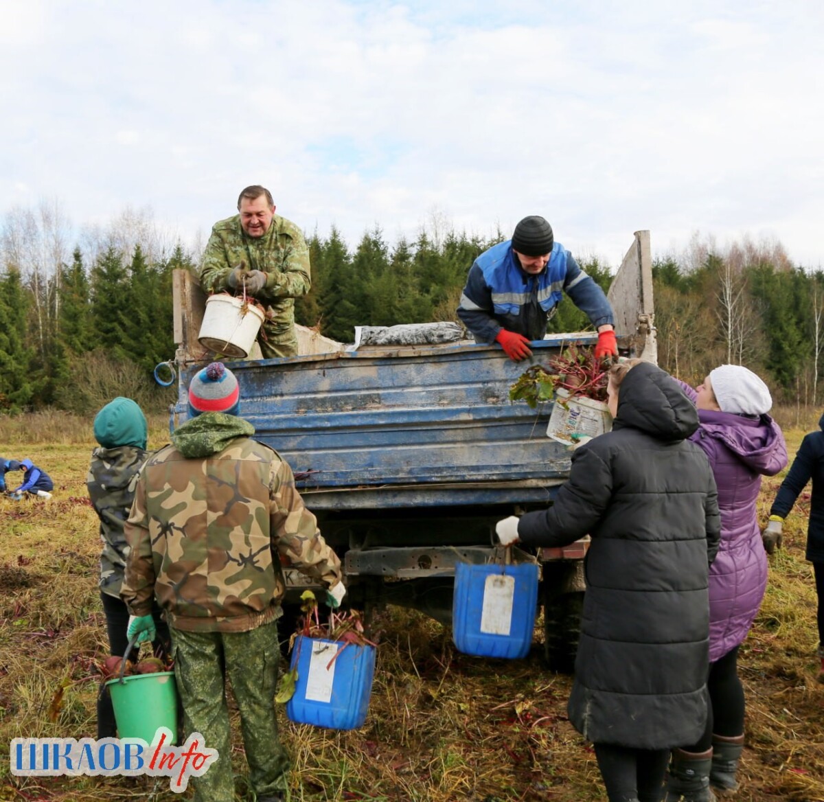 Общий труд – общая гордость: жители Шклова помогают сельхозорганизациям
