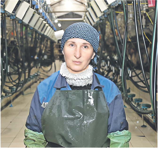 От случайности к призванию: путь оператора машинного доения Светланы Крупенько