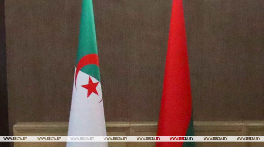 Александр Лукашенко 2-3 декабря совершит официальный визит в Алжир