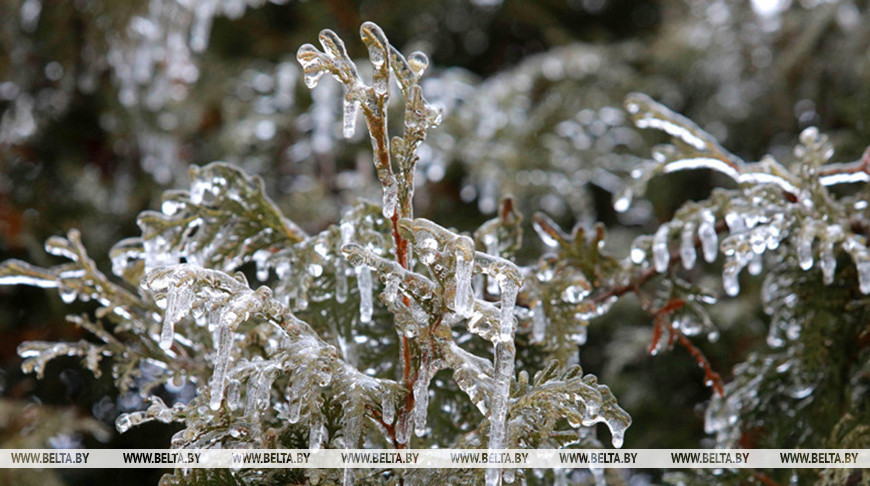 Спасатели предупредили о факторах опасности при гололеде