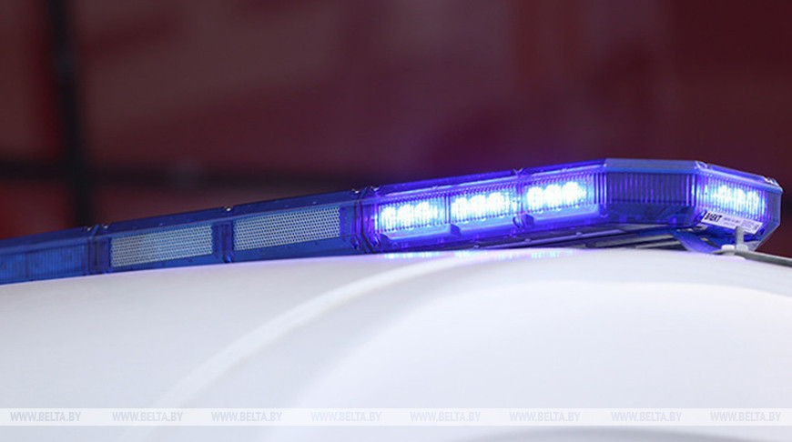 Львица убила юношу в бразильском зоопарке