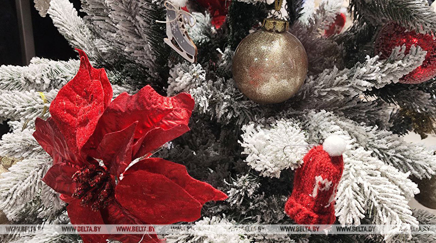 Белорусов предупредили о «новогодних» схемах мошенничества. Что важно знать?