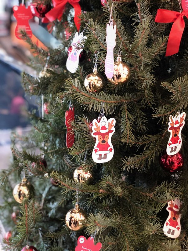 Стартовала благотворительная кампания Белорусского Красного Креста «Ёлка желаний»