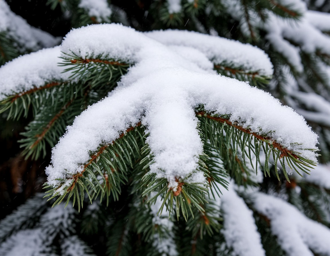 Синоптики рассказали, когда уйдет циклон «Улли»
