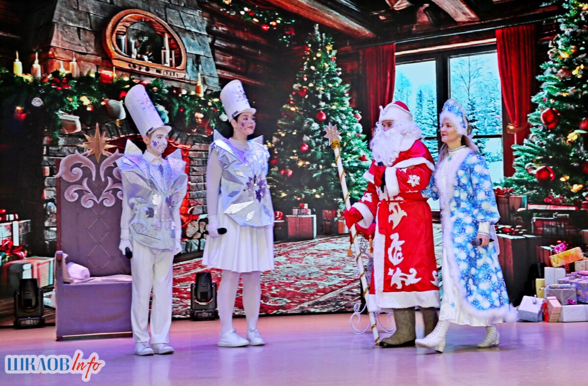 «В Новый год с Белой Русью»: в РДК прошел праздник для маленьких шкловчан