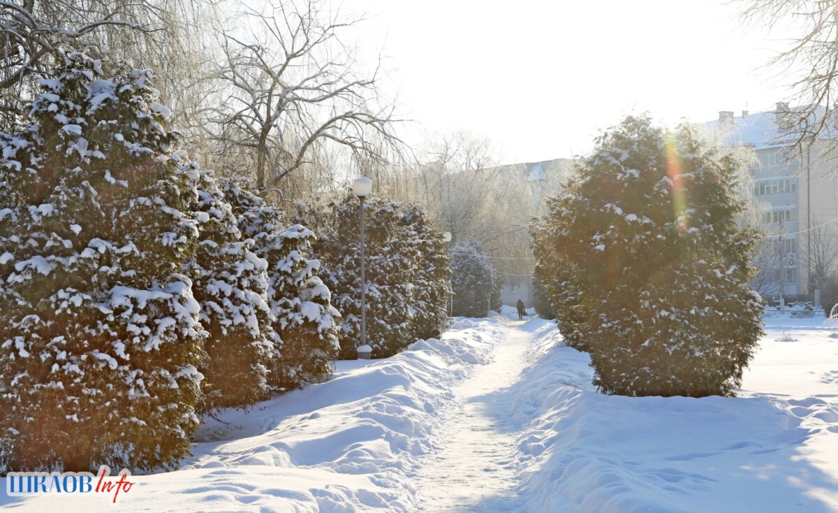 Мороз и солнце, день чудесный! Зимняя Шкловщина в нашем фотообъективе