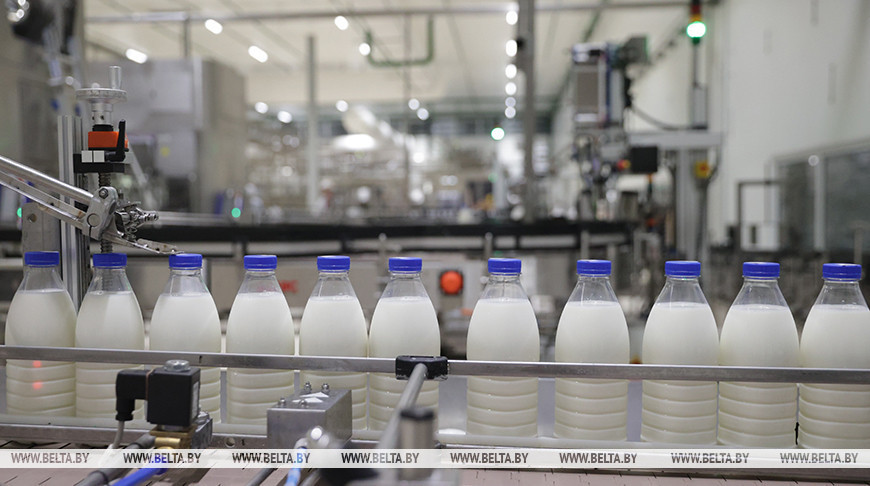 Беларусь в 2025 году установила рекорд по экспорту продовольствия — он достиг $10 млрд