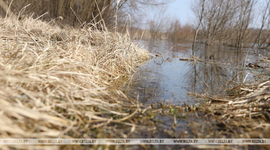На каких реках Беларуси произойдет рост уровней воды, рассказали гидрологи