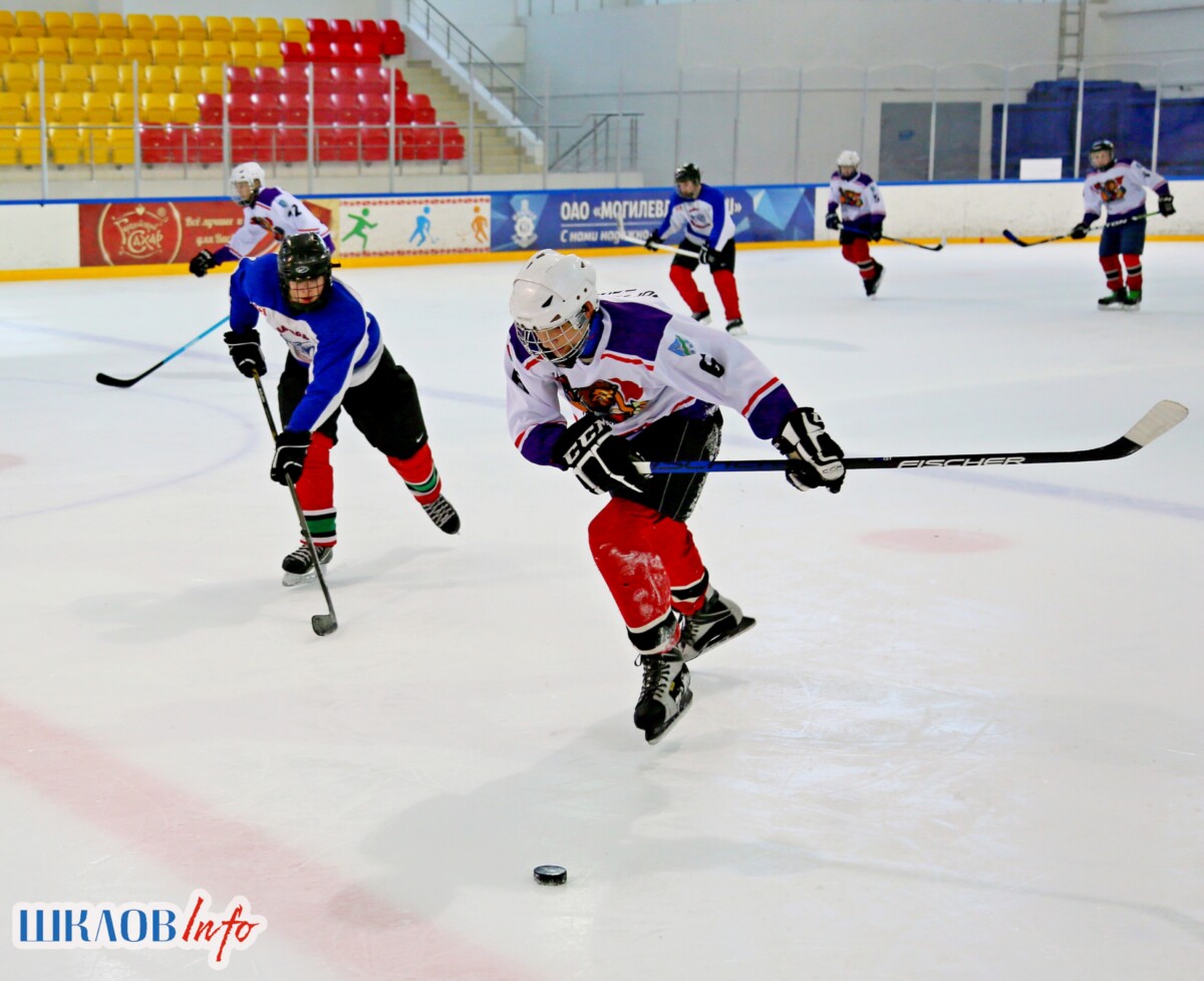 В Шклове состоялось открытие областных соревнований «Золотая шайба»