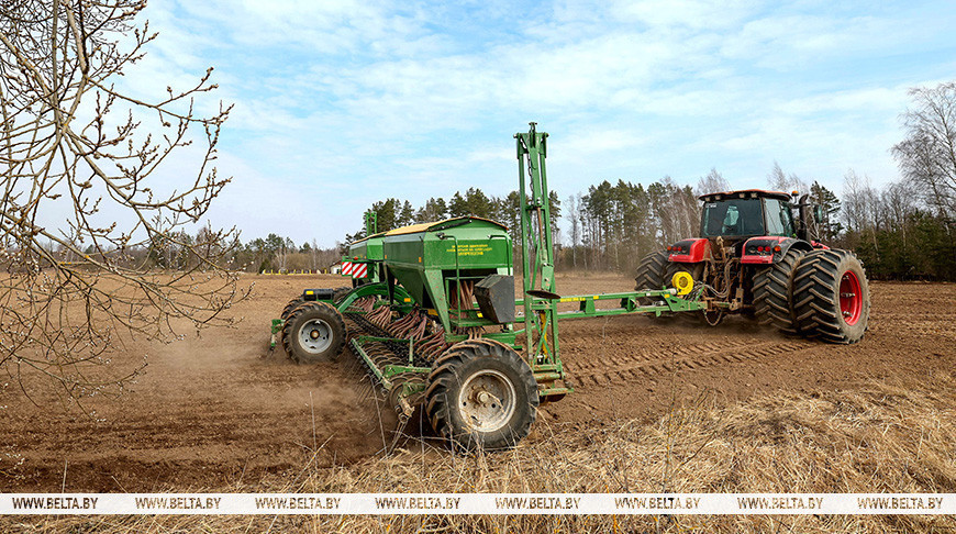 Весна благоволит. В Минсельхозпроде оценили сроки проведения посевной кампании в 2026 году