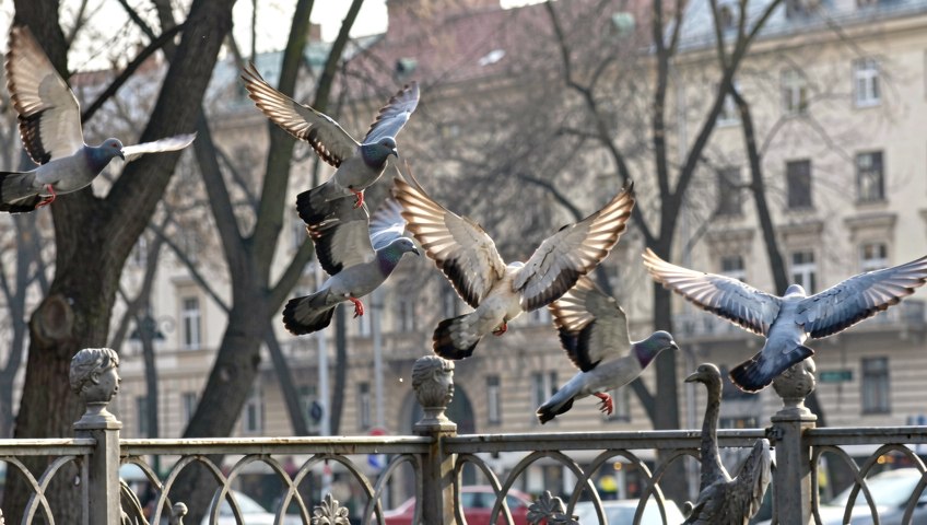 Тепло, но с дождями. Синоптики рассказали о погоде в Беларуси сегодня