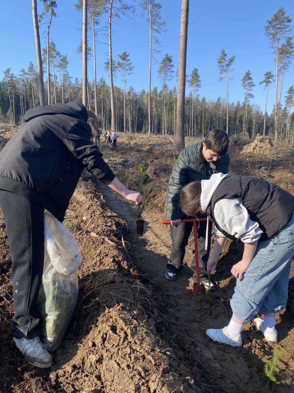 Учащиеся Шкловского государственного колледжа присоединились к акции «Лес! Дабро! Парадак!»