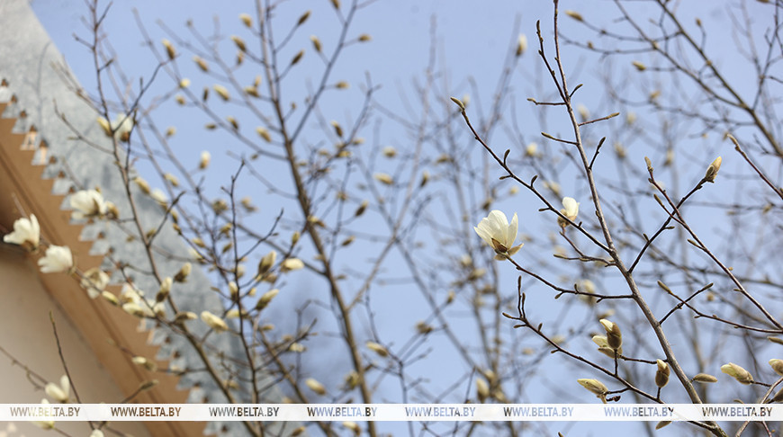 Ждать ли белорусам дождей? Синоптики рассказали о погоде на 20 апреля
