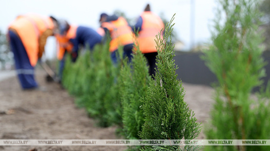 Смотр-конкурс на лучшее благоустройство водного объекта стартует в Беларуси