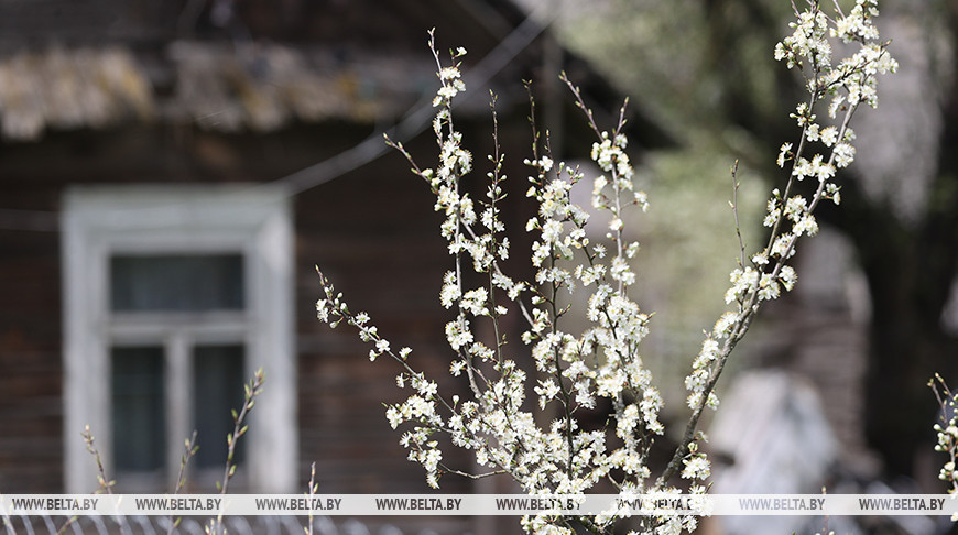 Ветрено и без осадков. Синоптики рассказали о погоде 24 апреля