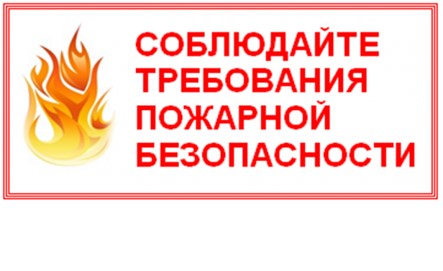 Шкловский РОЧС: помните и соблюдайте правила пожарной безопасности