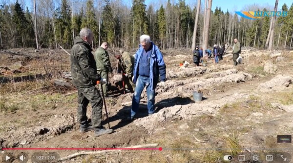 Республиканская акция «Лес!Дабро!Парадак!»