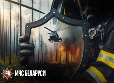 На территории Шкловского района проходит специальное профилактическое мероприятие «Зеленый щит»