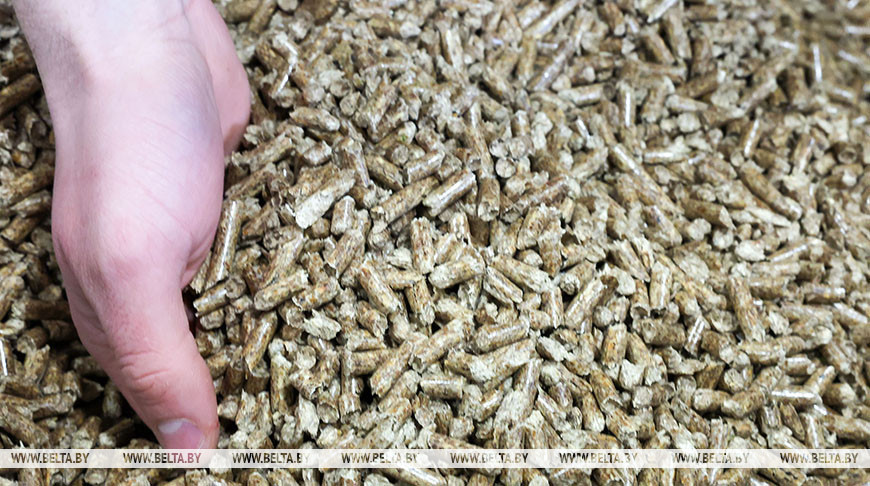Александр Лукашенко: в Беларуси надо настойчиво переходить на отопление пеллетами, газ — только резерв