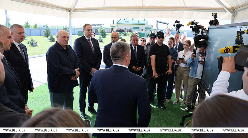 Александр Лукашенко поручил выработать четкую программу по разведению в Беларуси красной породы коров 