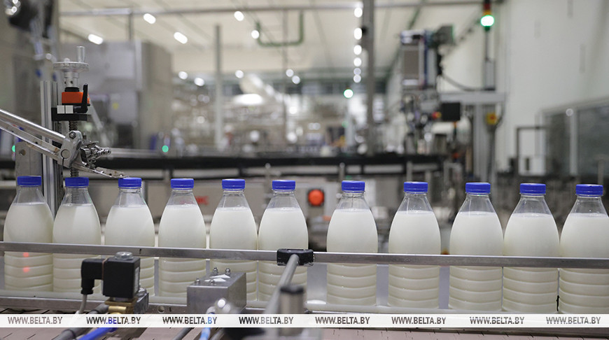 Производство сельхозпродукции в Беларуси в январе-июне увеличилось на 4,7%
