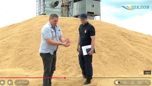 Прокуратура Могилёвской области проверила ход уборочной в Шкловском районе