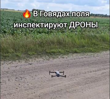 Сельское хозяйство будущего уже здесь! В Говядах на страже урожая стоят дроны