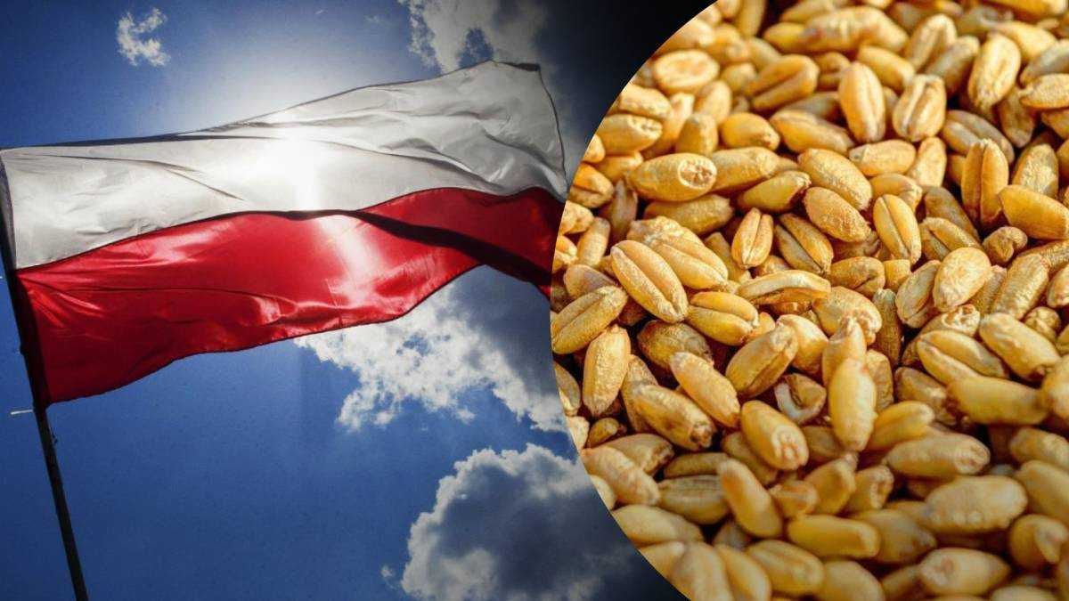 Когда зерно становится политикой